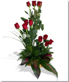 Docena de Rosas Rojas en Tres Secciones # 30