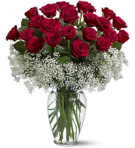 24 Rosas Rojas con Gypsophilia # 102 24 Rosas Rojas con Gypsophilia # 102