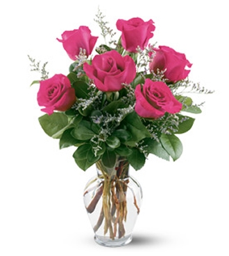 6 Rosas Fuscia # 69 6 Rosas Fuscia # 69